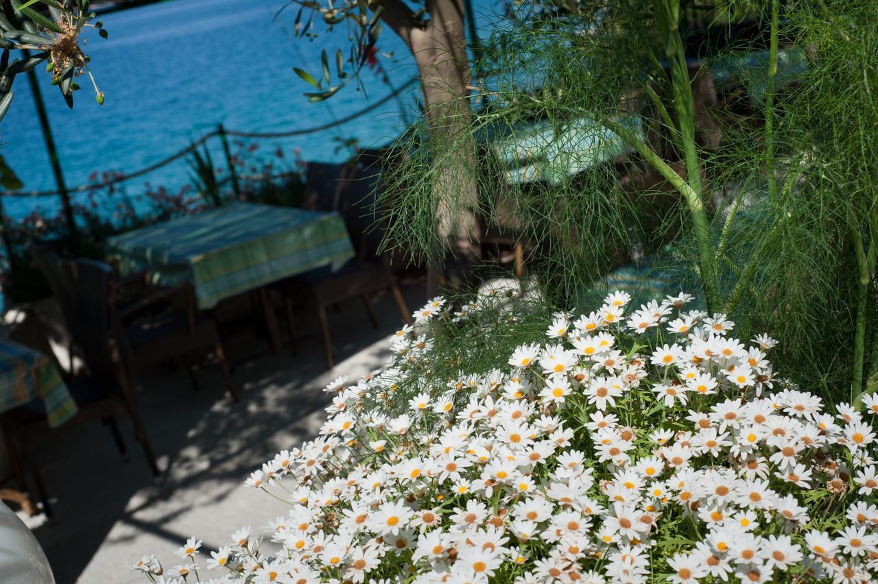Porat Hotel